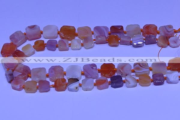 CNG7605 15.5 inches 12*13mm - 17*18mm freeform red botswana agate beads