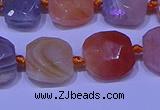 CNG7620 12*14mm - 13*15mm faceted freeform red botswana agate beads