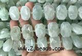 CNG7753 13*18mm - 15*25mm faceted freeform light prehnite beads