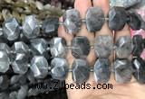 CNG7755 13*18mm - 15*25mm faceted freeform cloudy quartz beads