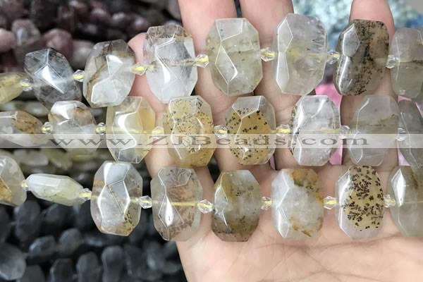 CNG7760 13*18mm - 15*25mm faceted freeform scenic quartz beads