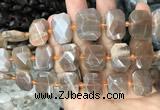 CNG7766 13*18mm - 15*25mm faceted freeform orange moonstone beads