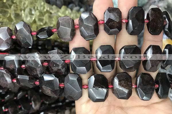 CNG7768 13*18mm - 15*25mm faceted freeform garnet beads