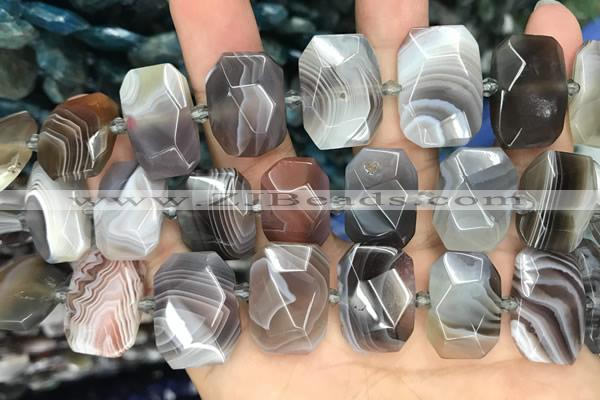 CNG7773 13*18mm - 15*25mm faceted freeform Botswana agate beads