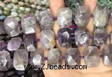 CNG7777 15.5 inches 13*18mm - 15*25mm faceted freeform amethyst beads