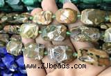 CNG7818 15.5 inches 13*18mm - 18*25mm faceted freeform rhyolite beads