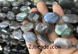 CNG7820 15.5 inches 13*18mm - 18*25mm faceted freeform labradorite beads