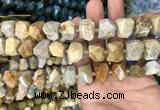 CNG7844 12*16mm - 15*20mm faceted nuggets fossil coral beads