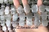 CNG7882 13*18mm - 15*25mm faceted freeform moonstone beads