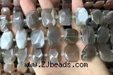 CNG7883 13*18mm - 15*25mm faceted freeform moonstone beads