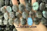 CNG7887 13*18mm - 15*25mm faceted freeform labradorite beads