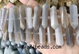 CNG7934 15.5 inches 10*22mm - 12*45mm faceted nuggets moonstone beads