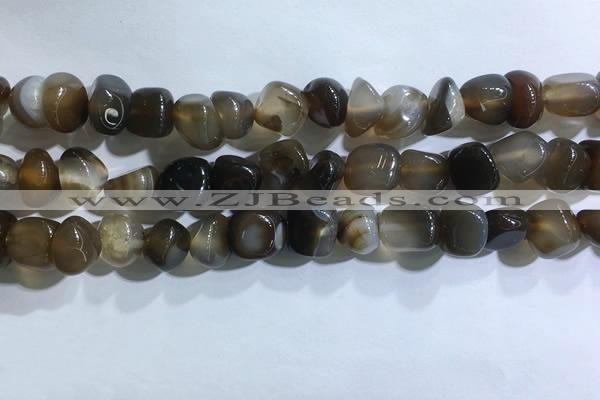 CNG8106 15.5 inches 6*8mm - 10*12mm agate gemstone chips beads