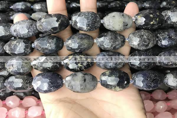 CNG8522 15.5 inches 13*20mm - 14*22mm faceted nuggets iolite beads