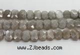 CNG8615 10*13mm - 12*16mm faceted freeform moonstone beads