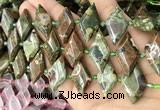 CNG8647 13*20mm - 15*25mm faceted freeform rhyolite beads