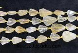 CNG8678 15.5 inches 12*14mm - 20*23mm freeform citrine beads