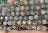 CNG8717 15.5 inches 10mm faceted nuggets labradorite gemstone beads