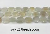 CNG8807 15.5 inches 16mm - 20mm faceted freeform moonstone beads