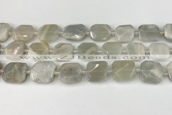 CNG8808 15.5 inches 16mm - 20mm faceted freeform moonstone beads