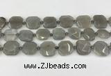 CNG8809 15.5 inches 16mm - 20mm faceted freeform moonstone beads