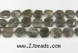 CNG8810 15.5 inches 16mm - 20mm faceted freeform moonstone beads