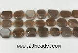 CNG8811 15.5 inches 16mm - 20mm faceted freeform moonstone beads