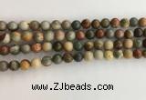 CNI370 15.5 inches 6mm round American picture jasper beads