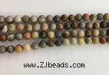 CNI370 15.5 inches 6mm round American picture jasper beads