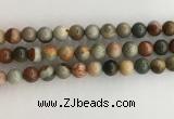 CNI372 15.5 inches 10mm round American picture jasper beads