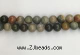 CNI374 15.5 inches 14mm round American picture jasper beads