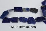 CNL1515 15.5 inches 30*35mm - 35*45mm freeform lapis lazuli beads