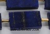 CNL1520 15.5 inches 20*30mm - 25*35mm rectangle lapis lazuli beads