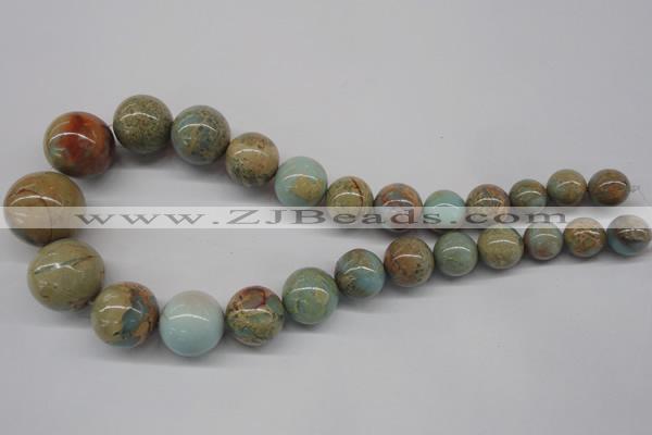 CNS70 15.5 inches 12mm - 24mm round natural serpentine jasper beads