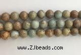 CNS704 15.5 inches 12mm round serpentine jasper beads wholesale