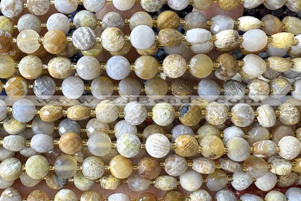 COIN148 15 inches 6mm faceted coin chrysanthemum agate beads