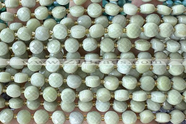 COIN157 15 inches 6mm faceted coin jasper gemstone beads