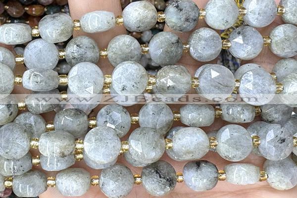 COIN275 15 inches 10mm faceted coin labradorite gemstone beads