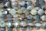 COIN284 15 inches 10mm faceted coin jasper gemstone beads