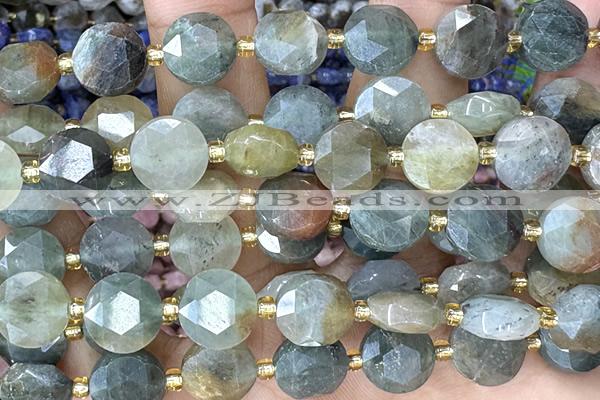COIN284 15 inches 10mm faceted coin jasper gemstone beads