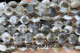 COIN287 15 inches 10mm faceted coin jasper gemstone beads