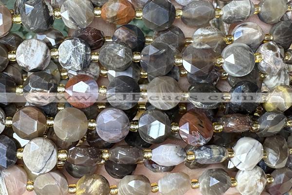 COIN306 15 inches 10mm faceted coin American picture jasper beads