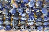 COIN311 15 inches 10mm faceted coin sodalite gemstone beads