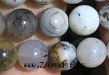 COP1555 15.5 inches 6mm round opal gemstone beads wholesale