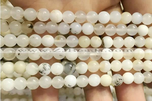 COP1584 15.5 inches 6mm round white opal gemstone beads