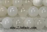 COP1588 15.5 inches 6mm round white opal gemstone beads