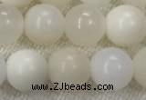 COP1589 15.5 inches 8mm round white opal gemstone beads