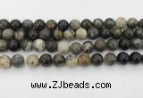 COP1603 15.5 inches 10mm round moss opal beads wholesale