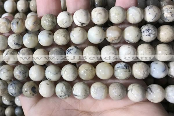 COP1663 15.5 inches 10mm round African opal beads wholesale