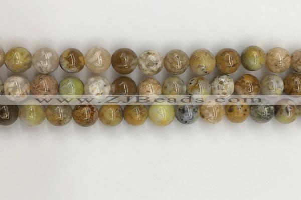 COP1672 15.5 inches 10mm round yellow opal gemstone beads